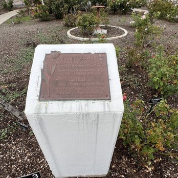 Rose Garden - Botanical Gardens Near Me - El Paso, Texas