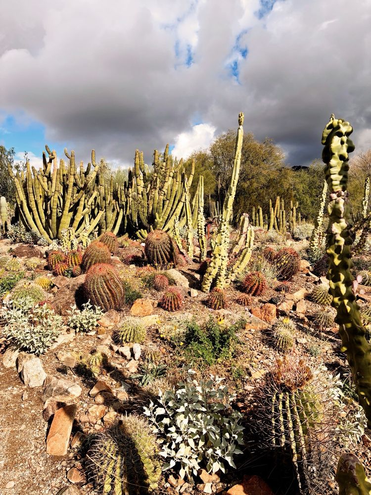 Arizona-Sonora Desert Museum