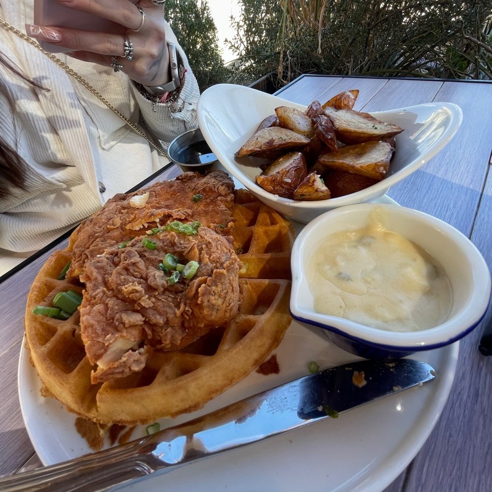 Grove Brunch Cafe - Chicken and Waffles - Breakfast & Brunch Near Me - El Paso, Texas