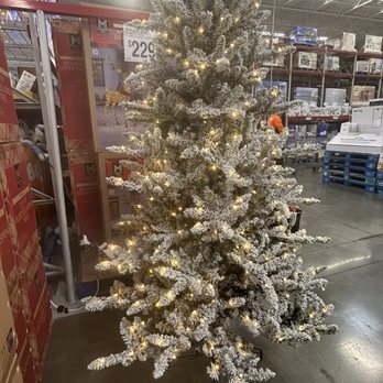 Sam's Club - Lighted Christmas tree - Wholesale Stores Near Me - Honolulu, Hawaii Sam's Club - Lighted Christmas tree - Wholesale Stores Near Me - Honolulu, Hawaii