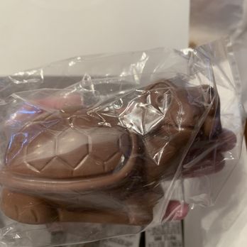 Andy's Candies - Hallow turtle mold - Candy Stores Near Me - Rochester, New York Andy's Candies - Hallow turtle mold - Candy Stores Near Me - Rochester, New York