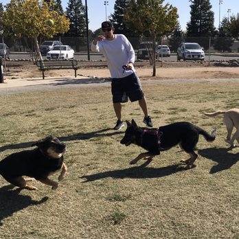 Bear Dog Park - Fetch !! - Dog Parks Near Me - Roseville, California Bear Dog Park - Fetch !! - Dog Parks Near Me - Roseville, California