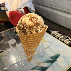 My scoop of sea turtle
