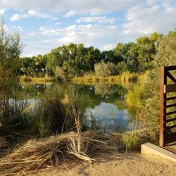 Rio Grande Valley State Park