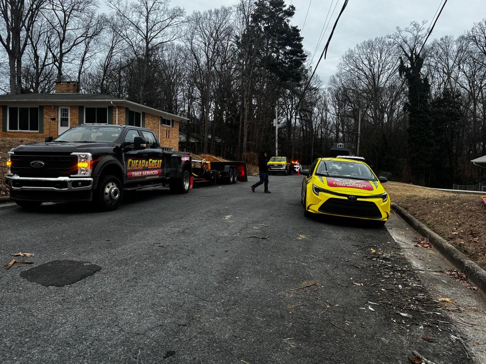 Cheap And Great Tree Service - tree service in Charlotte, NC