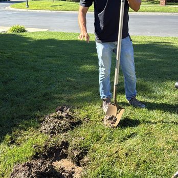 Sherlock Leak Detection - Amit, exposing the area. - Plumbing Near Me Sherlock Leak Detection - Amit, exposing the area. - Plumbing Near Me