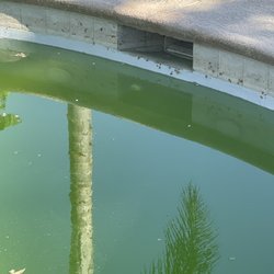 Paradigm Pool Care