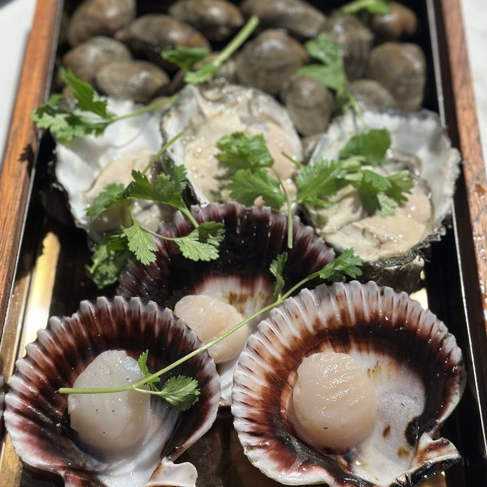 Scallops, Oysters, & Clams Scallops, Oysters, & Clams