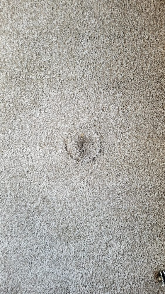 Slide of AAA Service Technician