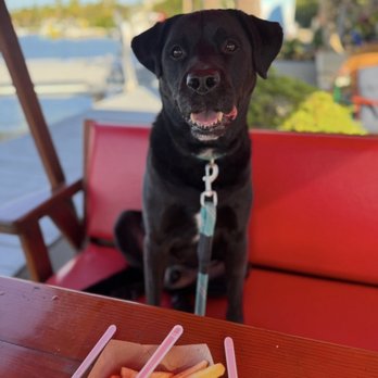 Dive Bar On The Bay - French fries and a dog - Beer Bar Near Me - Tavernier, Florida Dive Bar On The Bay - French fries and a dog - Beer Bar Near Me - Tavernier, Florida