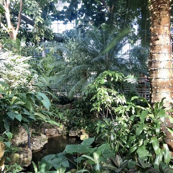 Krohn Conservatory - Botanical Gardens Near Me - Cincinnati, Ohio