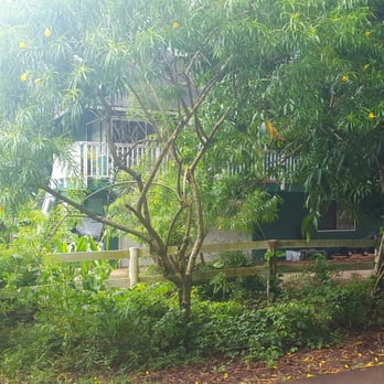 Hoopii Falls - The entrance to the trail is across from this house. - Hiking Near Me - Kapaa, Hawaii