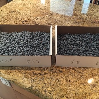 Jay’s Berry Farm - Fresh no spray blueberries - weights and prices shown - Farms Near Me - Lake Country, British Columbia Jay’s Berry Farm - Fresh no spray blueberries - weights and prices shown - Farms Near Me - Lake Country, British Columbia