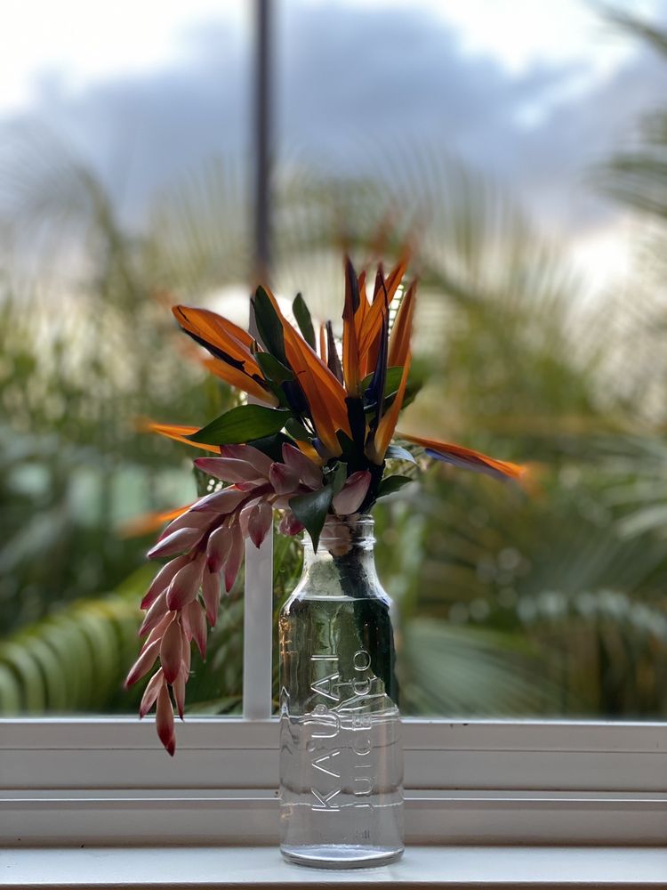 CAKES BY SANDI 46 Photos & 38 Reviews Poipu, Hawaii Bakeries