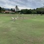 Club de Golf
