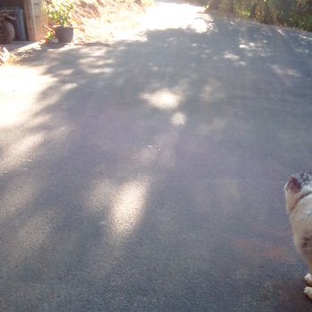 Jerry Fillmer Paving & Seal Coating - Jerry's Crew comes through!! - Masonry/Concrete Near Me - Grass Valley, California Jerry Fillmer Paving & Seal Coating - Jerry's Crew comes through!! - Masonry/Concrete Near Me - Grass Valley, California