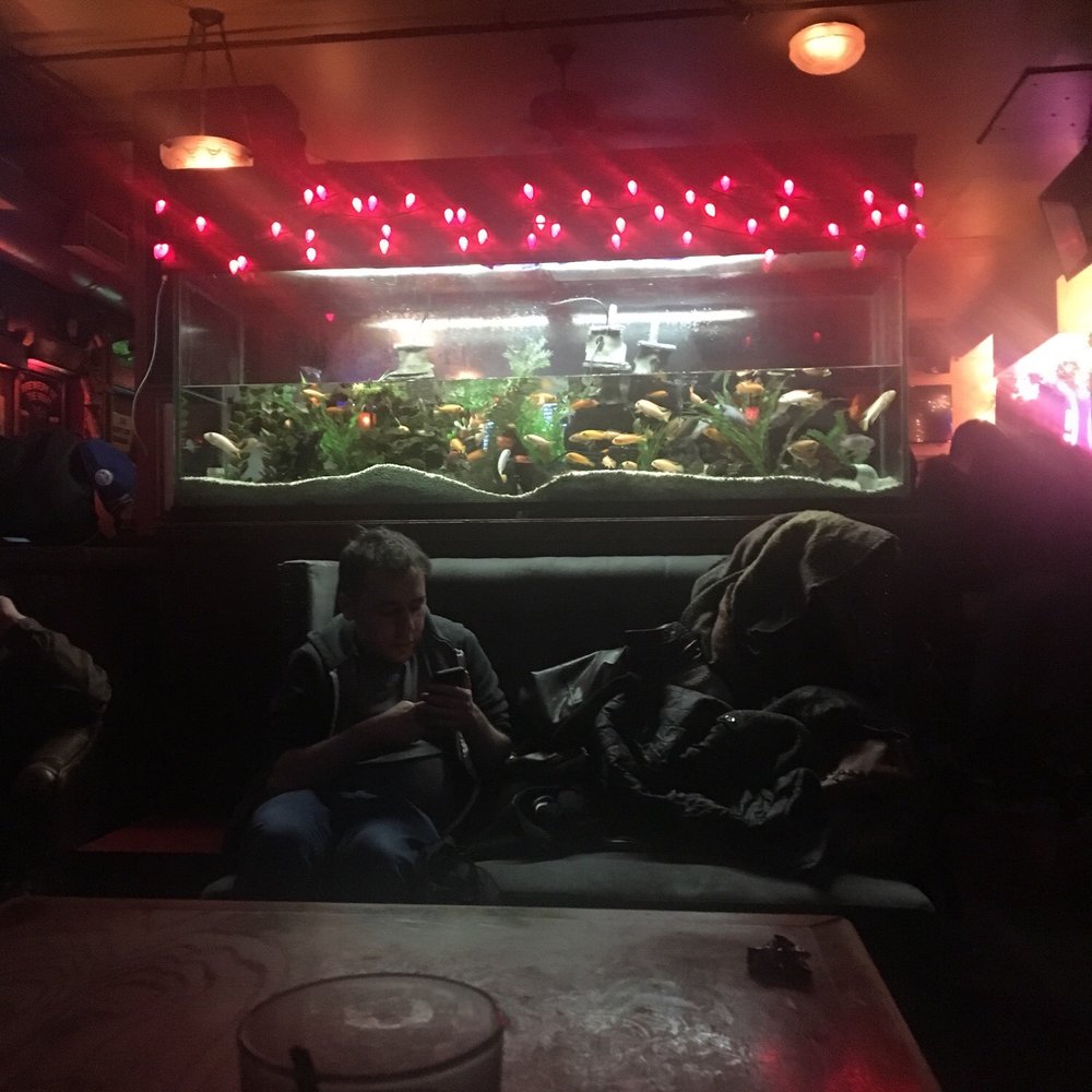 Dive 75 - The fish need more water please! - Dive Bars Near Me - New York, New York Dive 75 - The fish need more water please! - Dive Bars Near Me - New York, New York
