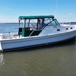 Above The Waterline