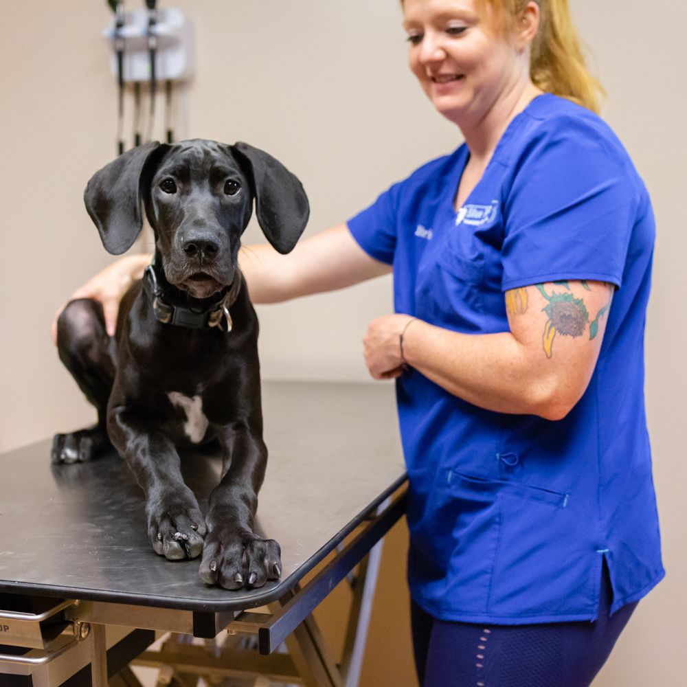 PetSmart Pet Grooming Locations Brooklyn, New York, 41 OFF