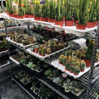 Flora Clay - Florists Near Me - Los Angeles, California Flora Clay - Florists Near Me - Los Angeles, California