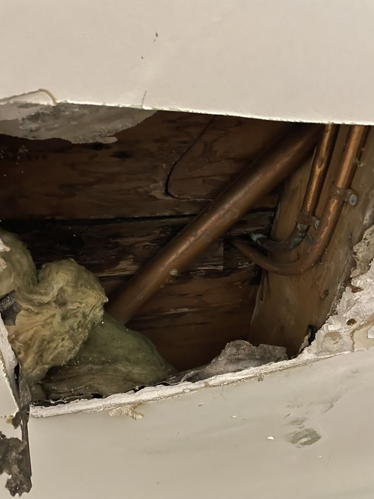 CONCORD COURT APARTMENTS Updated October 2024 38 Photos 3701