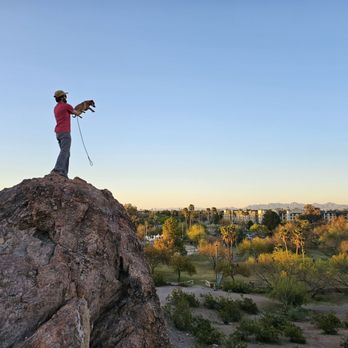 Papago Rotary Park - Simba - Parks Near Me - Scottsdale, Arizona Papago Rotary Park - Simba - Parks Near Me - Scottsdale, Arizona