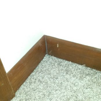 Jim Owens Carpet Corp - knicks and scratches in base board molding. - Carpeting Near Me - Metairie, Louisiana Jim Owens Carpet Corp - knicks and scratches in base board molding. - Carpeting Near Me - Metairie, Louisiana