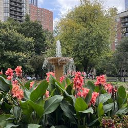 Washington Square Park - Washington Square Park