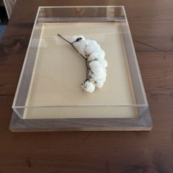 Artistic Picture Framing - This heirloom cotton branch from our client's ancestors is safely preserved inside a pristine optium acrylic display box