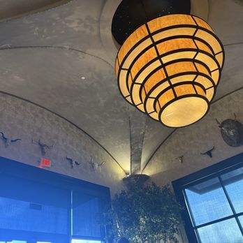 Cherokee Chophouse - Look up - Steakhouses Near Me - Marietta, Georgia