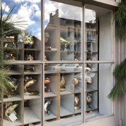 The Flower Petaler - In the mood for window shopping? Main Street is the place to be.