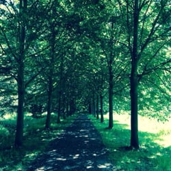 Landschaftspark Pansevitz - Traumhafte Wege