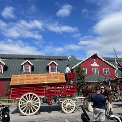 Warm Springs Ranch - 6,000 lb beer wagon and horses