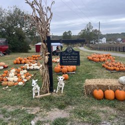 Sunny Acres Farm - Entrance after Parking