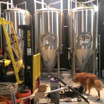Ghostfish Brewing - Fermentation tanks with their resident dog. - Breweries Near Me - Seattle, Washington Ghostfish Brewing - Fermentation tanks with their resident dog. - Breweries Near Me - Seattle, Washington