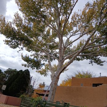 Lliguin Landscaping - Landscaping Near Me - Albuquerque, New Mexico