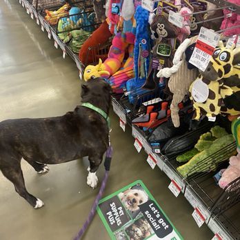 Pet Supplies Plus Cherry Hill - Lots of toys! - Pet Stores Near Me - Cherry Hill, New Jersey Pet Supplies Plus Cherry Hill - Lots of toys! - Pet Stores Near Me - Cherry Hill, New Jersey