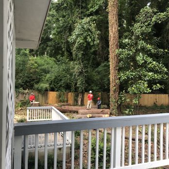 Don's Tree Service - Workers working - Tree Services Near Me - Atlanta, Georgia