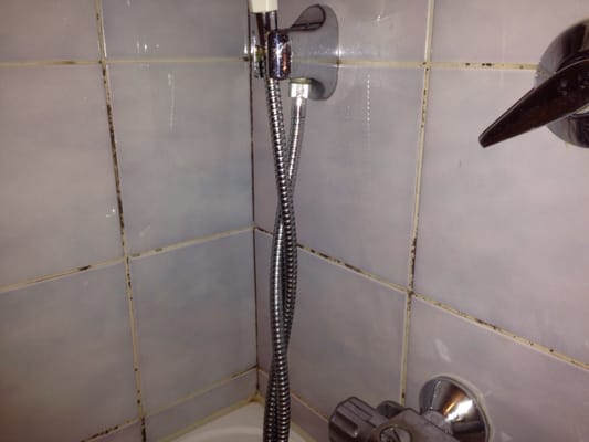 Quality Hotel Globe by null