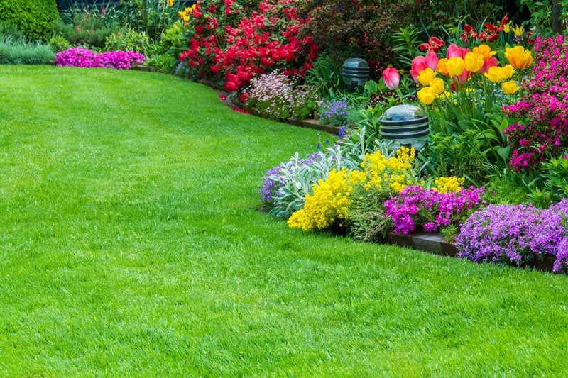 Slide of Vernell Fobbs Services