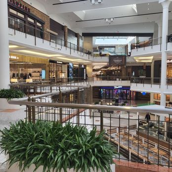 Panerai - The shop - Watches Near Me - Tysons, Virginia Panerai - The shop - Watches Near Me - Tysons, Virginia