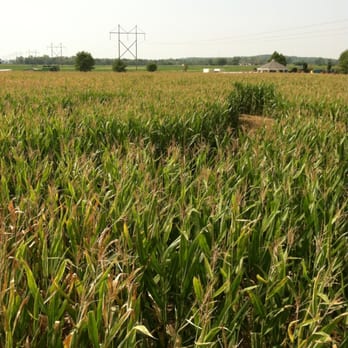 Liberty Corn Maze - Wholesome family fun - Amusement Parks Near Me - Liberty, Missouri Liberty Corn Maze - Wholesome family fun - Amusement Parks Near Me - Liberty, Missouri