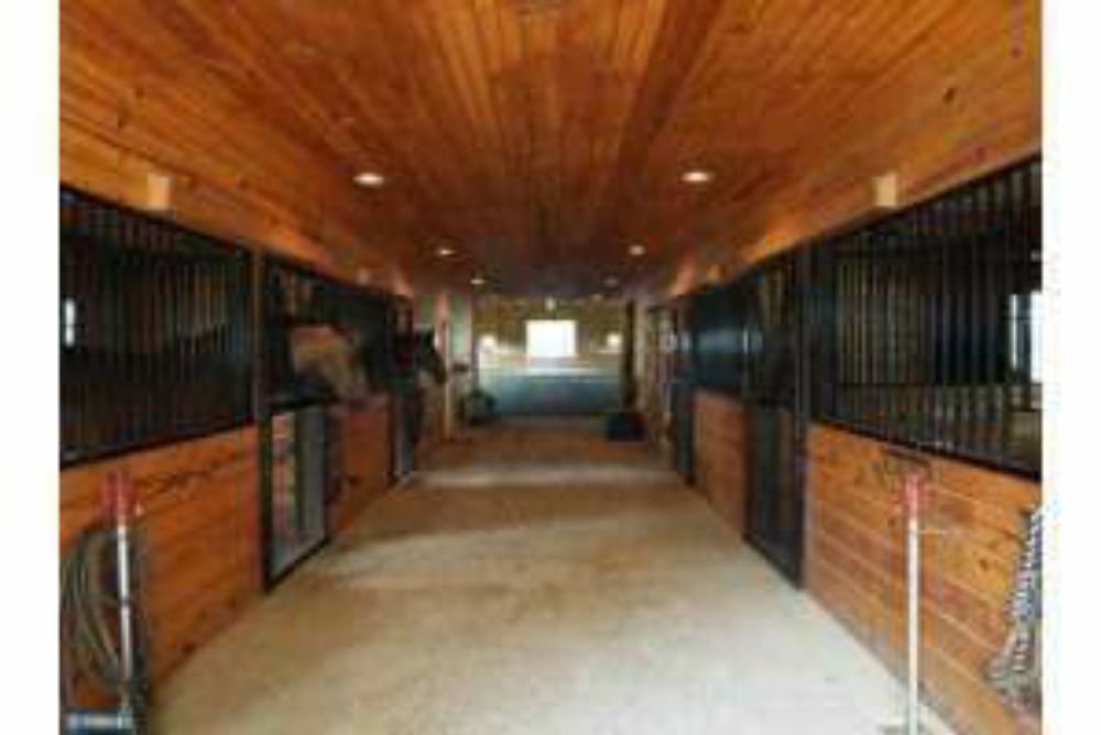 Horses 4 Your Consideration - equestrian in Oxford, PA