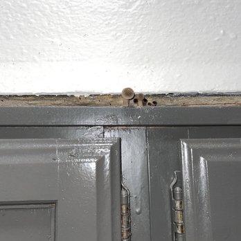 The Helix Apartments - MUSHROOMS GROWING ON KITCHEN CABINETS - Apartments Near Me - San Antonio, Texas The Helix Apartments - MUSHROOMS GROWING ON KITCHEN CABINETS - Apartments Near Me - San Antonio, Texas