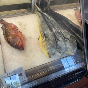 Safe Harbor Seafood Market - Beautiful whole fish - Seafood Markets Near Me - Atlantic Beach, Florida Safe Harbor Seafood Market - Beautiful whole fish - Seafood Markets Near Me - Atlantic Beach, Florida