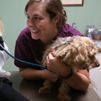 St. George Hunt Memorial Veterinary Hospital - Veterinarians Near Me - Villanova, Pennsylvania St. George Hunt Memorial Veterinary Hospital - Veterinarians Near Me - Villanova, Pennsylvania