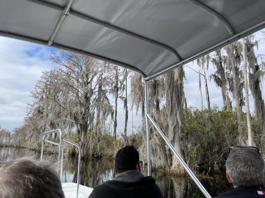 Okefenokee Adventures by null