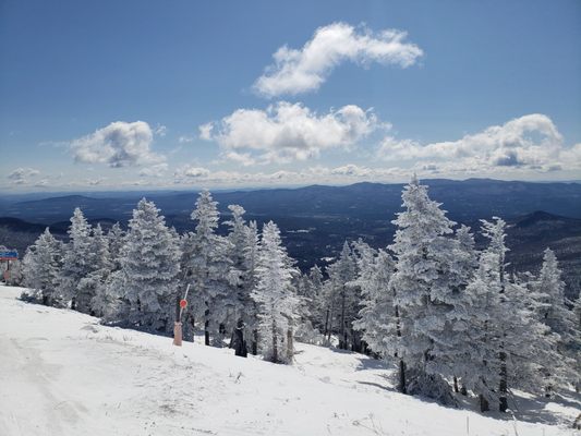 Stowe Mountain Resort by null