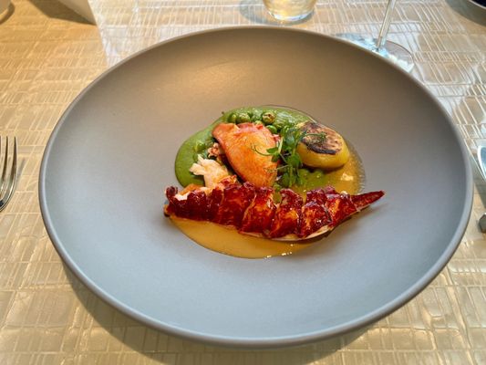 Beige Alain Ducasse by null