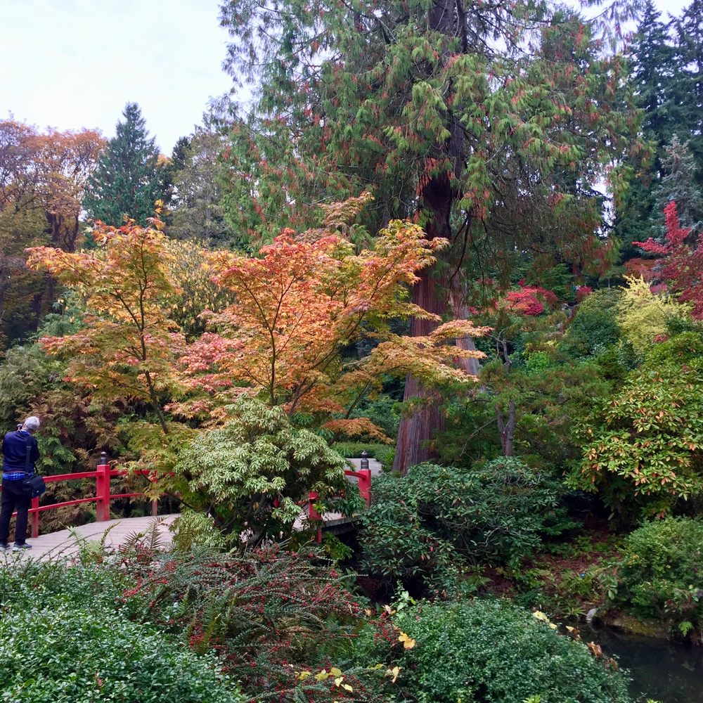 Kubota Garden - Look at this place! Beautiful! - Botanical Gardens Near Me - Seattle, Washington Kubota Garden - Look at this place! Beautiful! - Botanical Gardens Near Me - Seattle, Washington